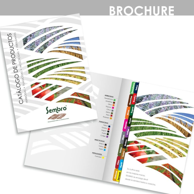 marleng lopera diseñadora gráfica - diseño brochure